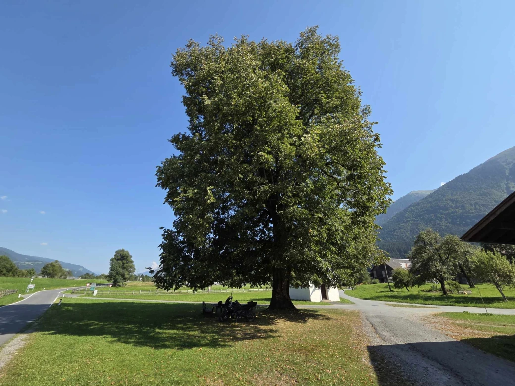 Rastplatz in Oberdöbernitzen (AT)